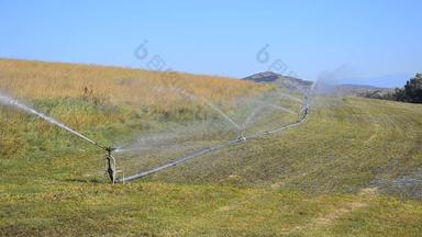 灌溉喷水灭火系统特写镜头灌溉喷水灭火系统特写镜头灌溉蔬菜场早期春天